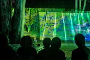 Naidoc projection project