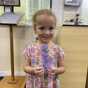 Nature bookmark SHP