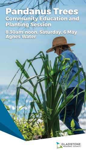 Pandanus planting social stories 1