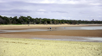 canoe point wetlands