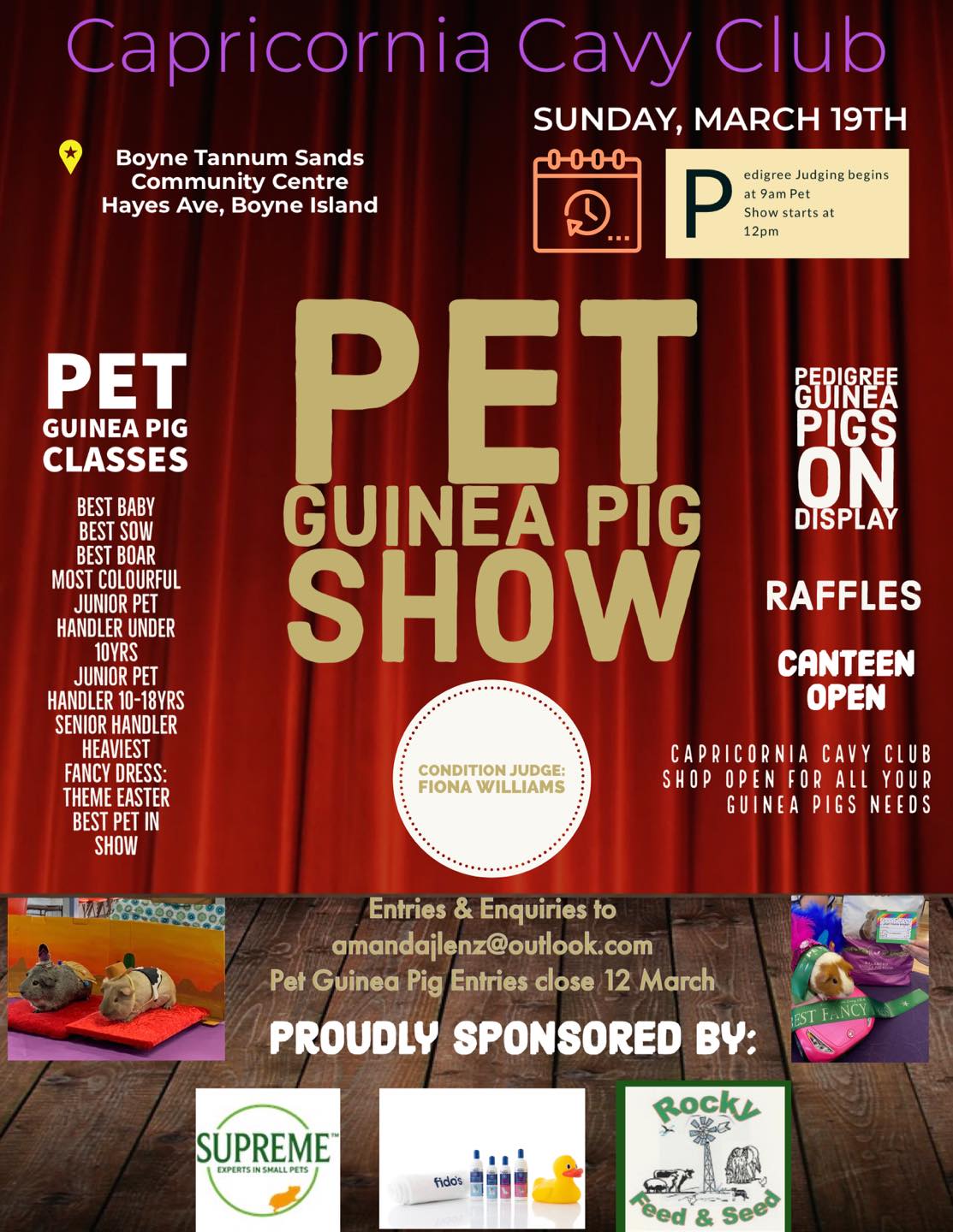 Pet guiea pig show