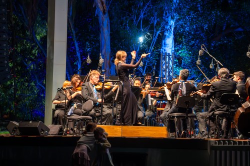 Qso suts symphony under the stars 2024 web 293