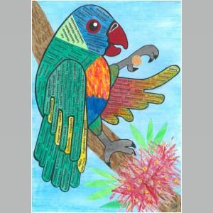 Roadmap rainbow lorikeet 1