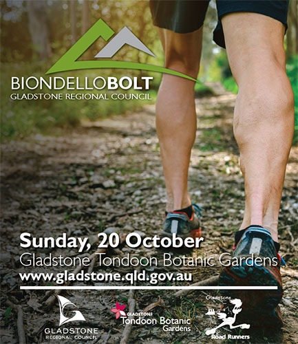 Biondello Bolt Advert