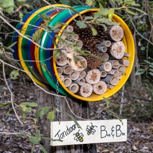 Shp insect hotels 1
