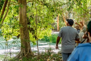 Tbg guided tours 2
