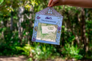Tbg little greenhouse 33, SHP