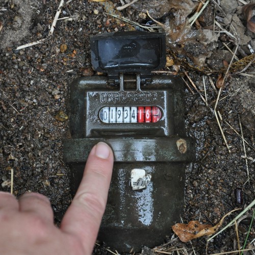 Water meter Reading