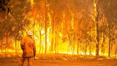 Bushfire